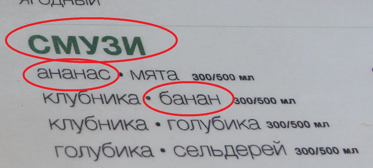 Russisch leren en vertalen, RusReis.nl Rusreis