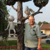 Peter in Voronezj