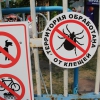 Tegen teken behandeld terrein in Tomsk, in de strijd tegen tekenencefalitis