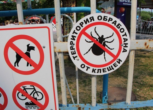 Tegen teken behandeld terrein in Tomsk, in de strijd tegen tekenencefalitis